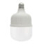 لامپ LED کم مصرف 30 وات سایرکس SYREX با سرپیچ E27